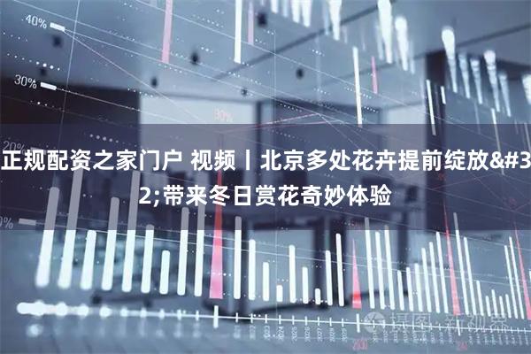 正规配资之家门户 视频丨北京多处花卉提前绽放 带来冬日赏花奇妙体验