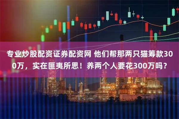 专业炒股配资证券配资网 他们帮那两只猫筹款300万，实在匪夷所思！养两个人要花300万吗？
