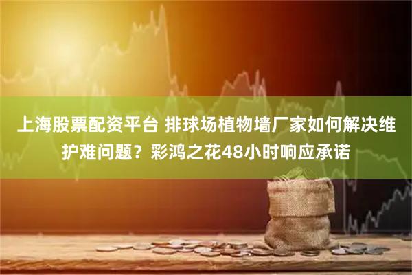 上海股票配资平台 排球场植物墙厂家如何解决维护难问题？彩鸿之花48小时响应承诺
