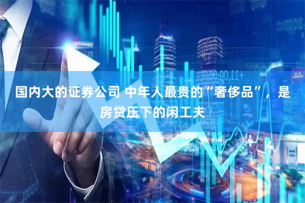 国内大的证券公司 中年人最贵的“奢侈品”，是房贷压下的闲工夫