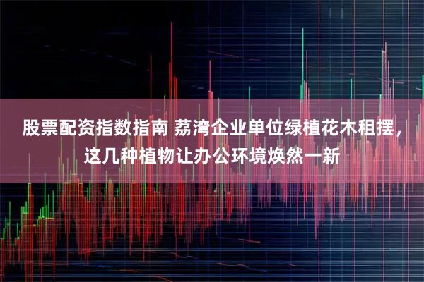 股票配资指数指南 荔湾企业单位绿植花木租摆，这几种植物让办公环境焕然一新